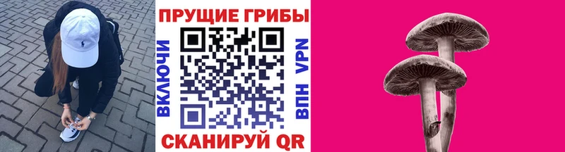 Галлюциногенные грибы мухоморы  купить наркотик  ОМГ ОМГ как войти  Щёлково 